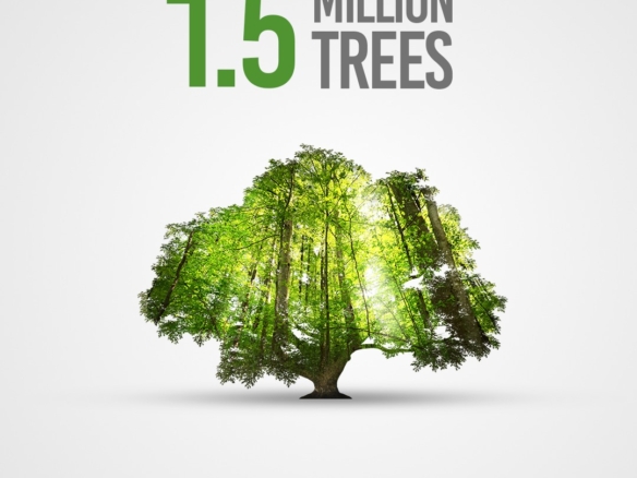 Green Living in Park View City Lahore